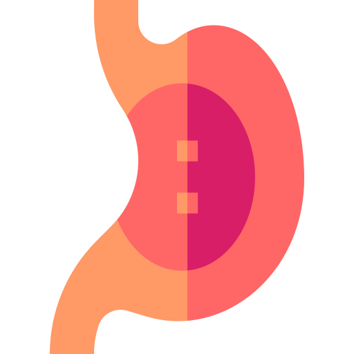 Stomach Basic Straight Flat icon