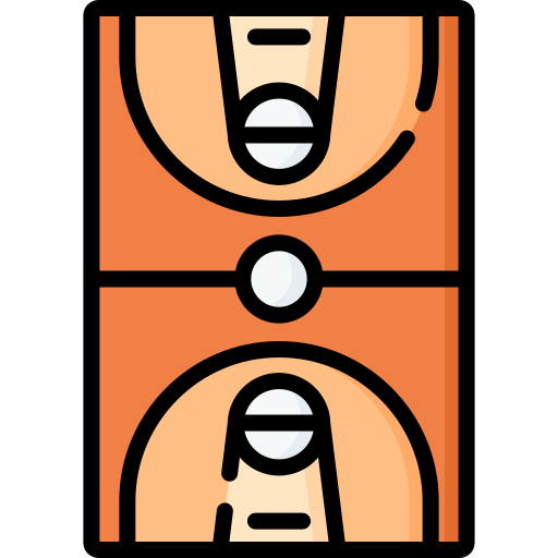 Basketball court Special Lineal color icon