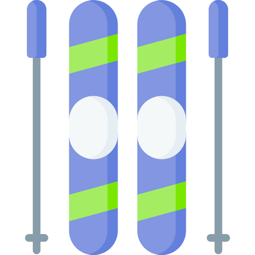 Skiing Special Flat icon