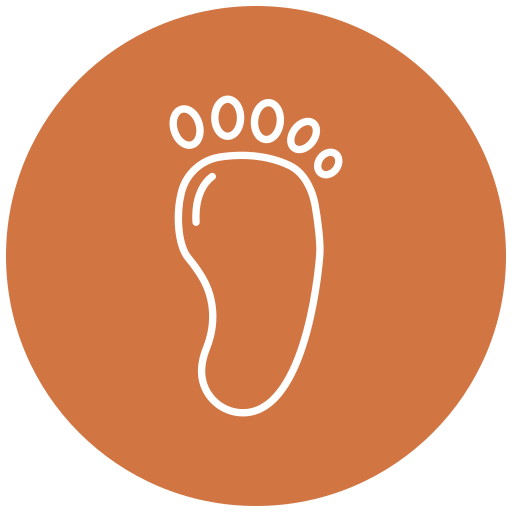 Footprint Generic Flat icon