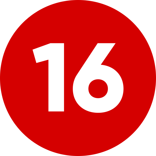 nummer 16 Generic Flat icoon