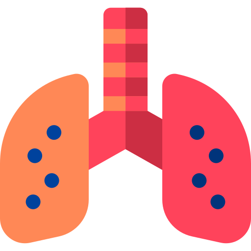 lunge Basic Rounded Flat icon