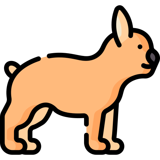bulldog francés Special Lineal color icono