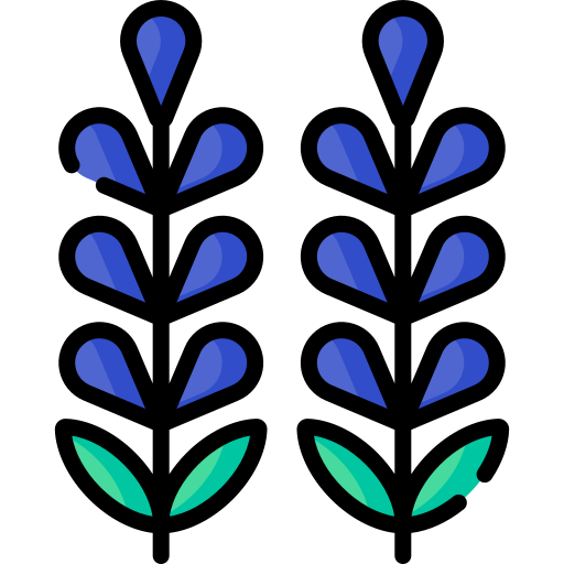 ラベンダー Special Lineal color icon
