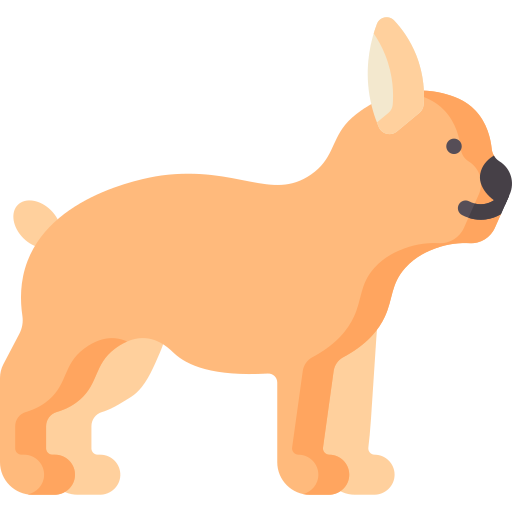 franse bulldog Special Flat icoon