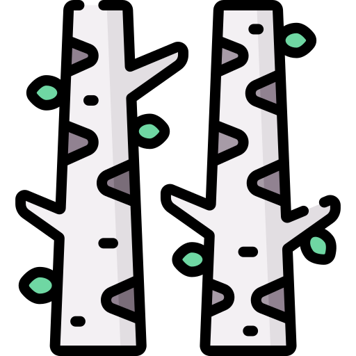 arbre de bouleau Special Lineal color Icône