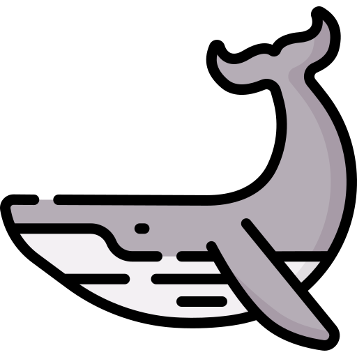baleine Special Lineal color Icône