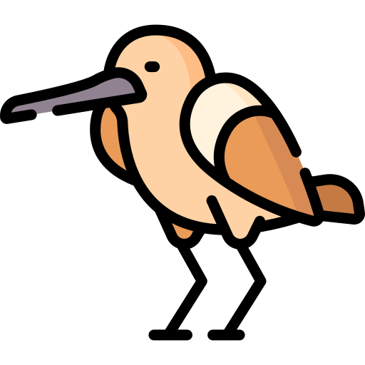 Kingfisher Special Lineal color icon