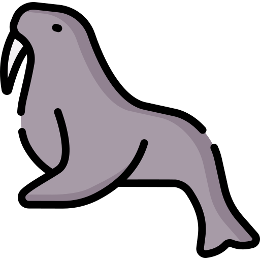 Sea lion Special Lineal color icon