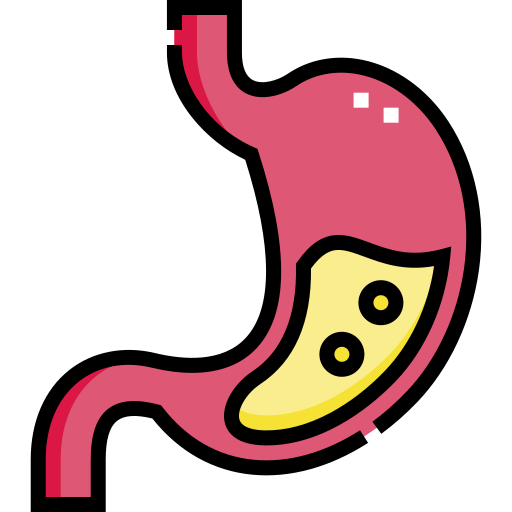 Stomach Detailed Straight Lineal color icon
