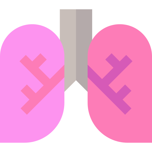 pulmones Basic Straight Flat icono