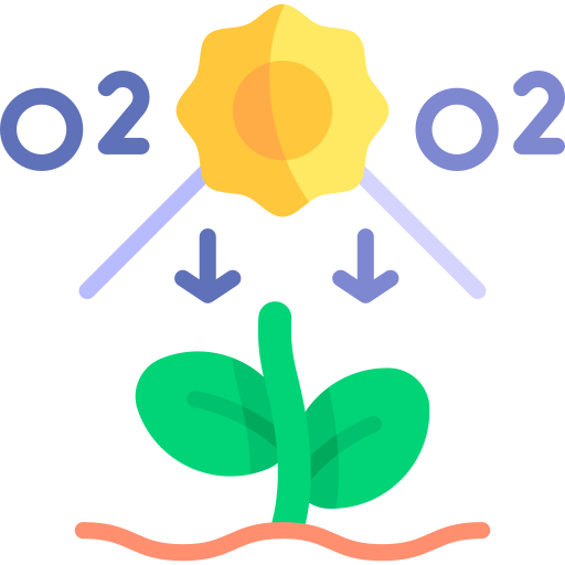 photosynthese Kawaii Flat icon