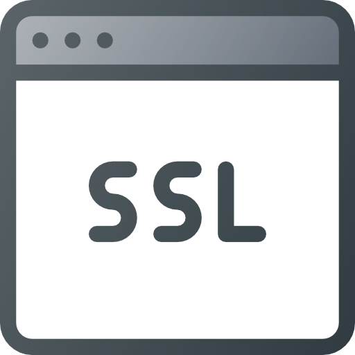ssl Those icons Lineal Color icon