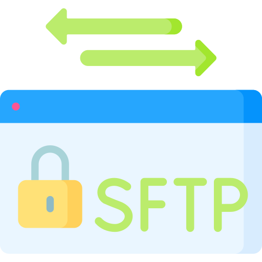 Sftp Special Flat icon