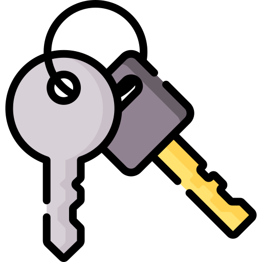 Keys Special Lineal color icon