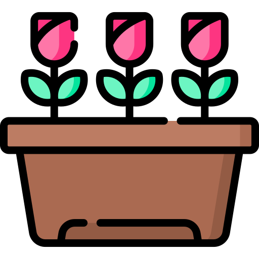 Flower Special Lineal color icon