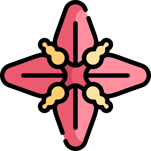 Ixora Kawaii Lineal color icon