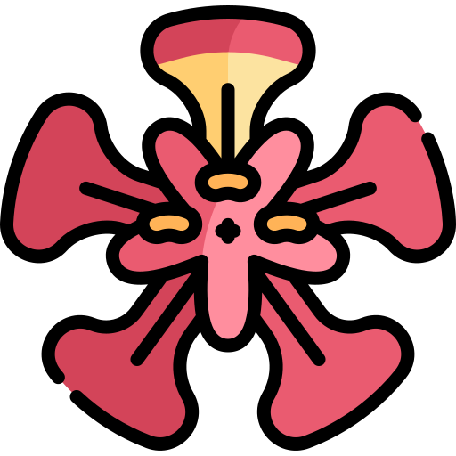 Королевская пуансиана Kawaii Lineal color иконка