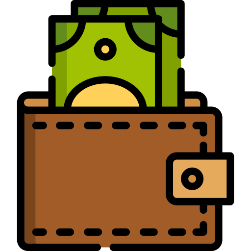 Wallet Special Lineal color icon