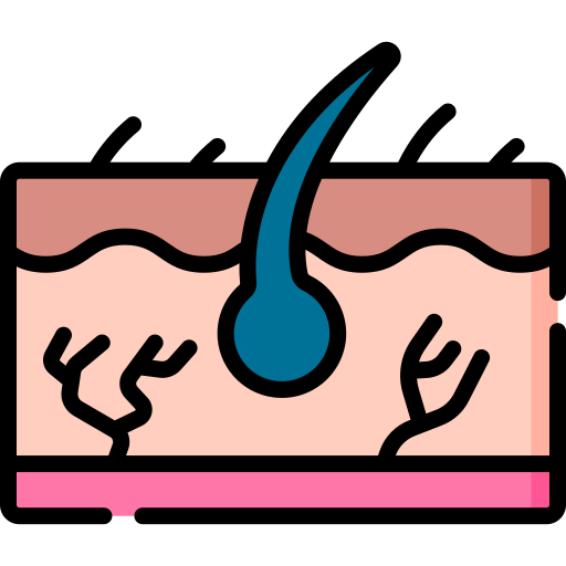 dermatología Special Lineal color icono
