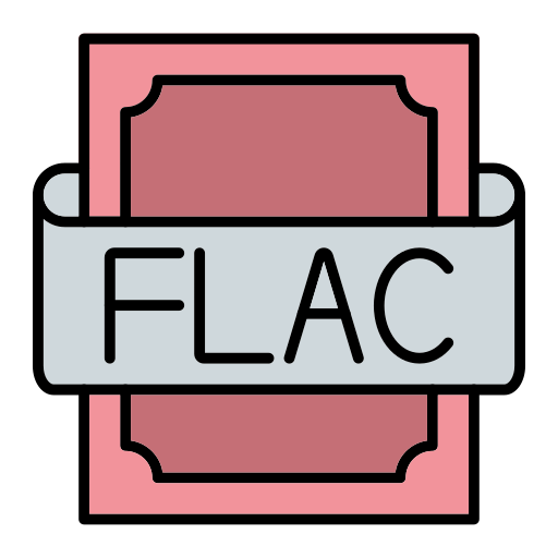 flac Generic Outline Color icon