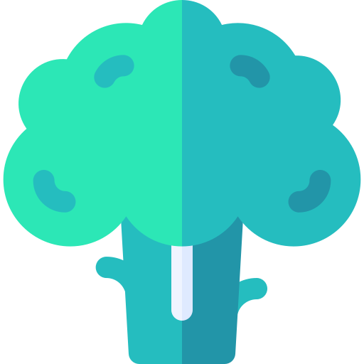 Broccoli Basic Rounded Flat icon