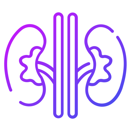 Kidneys Generic Gradient icon