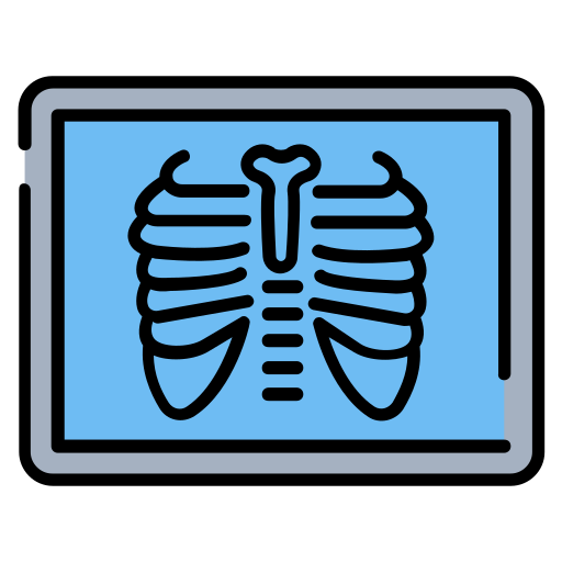 X ray Generic Outline Color icon