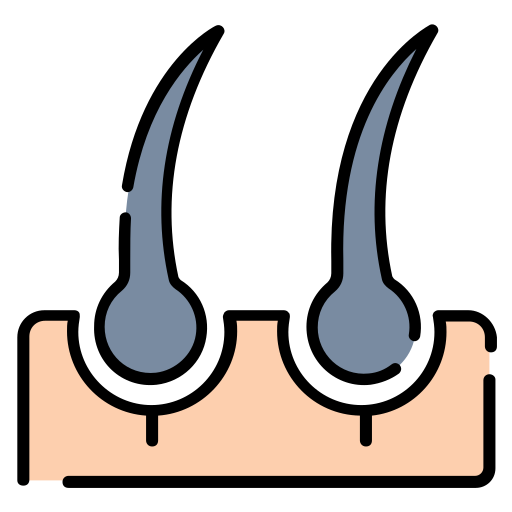 Hair follicle Generic Outline Color icon