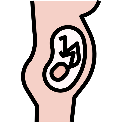 schwangerschaft turkkub Lineal Color icon