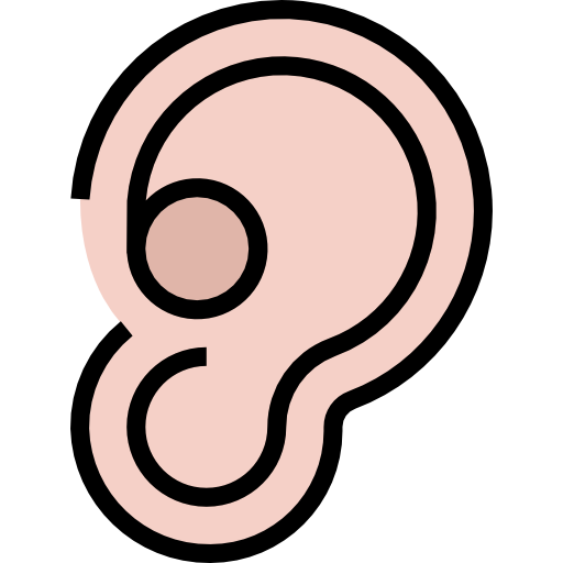 耳 turkkub Lineal Color icon