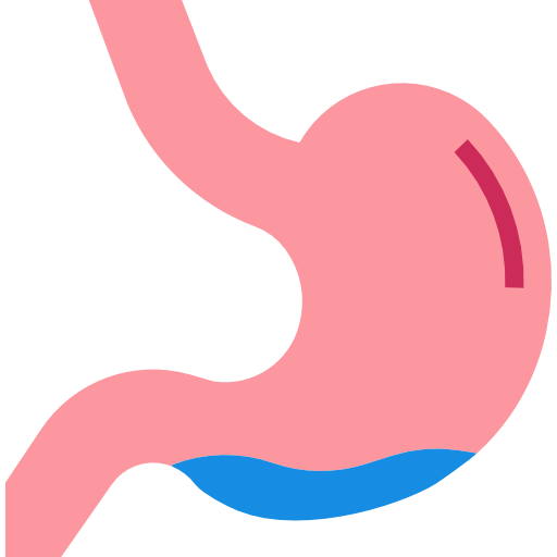 Żołądek turkkub Flat ikona