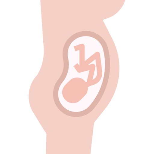 gravidez turkkub Flat Ícone
