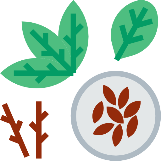 Seed turkkub Flat icon