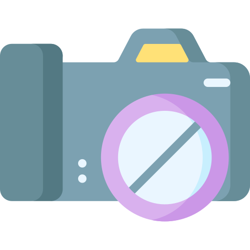 cámara fotográfica Special Flat icono