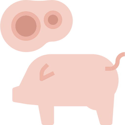 cerdo turkkub Flat icono