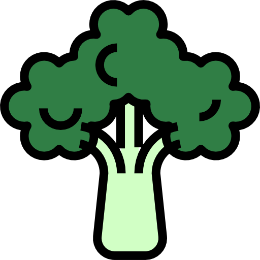 brokkoli turkkub Lineal Color icon