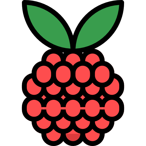 Raspberry turkkub Lineal Color icon