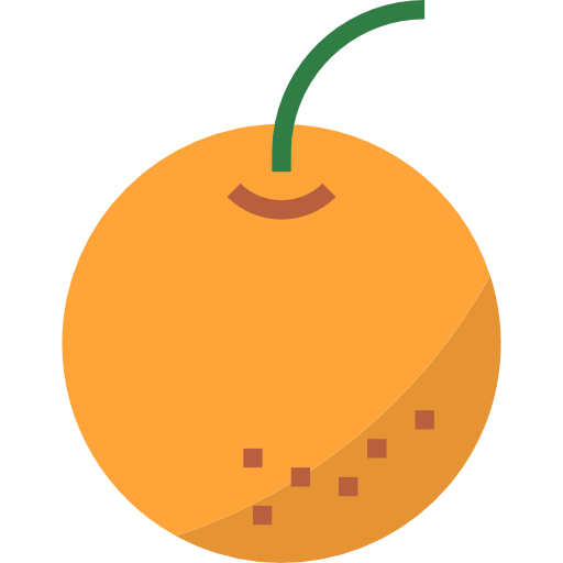 주황색 turkkub Flat icon