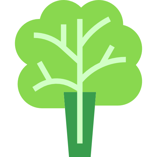 Lettuce turkkub Flat icon