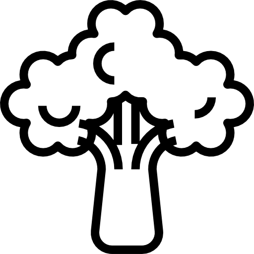 Брокколи turkkub Lineal иконка