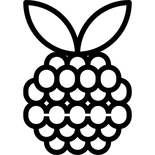 Raspberry turkkub Lineal icon