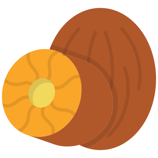 Nutmeg Generic Flat icon