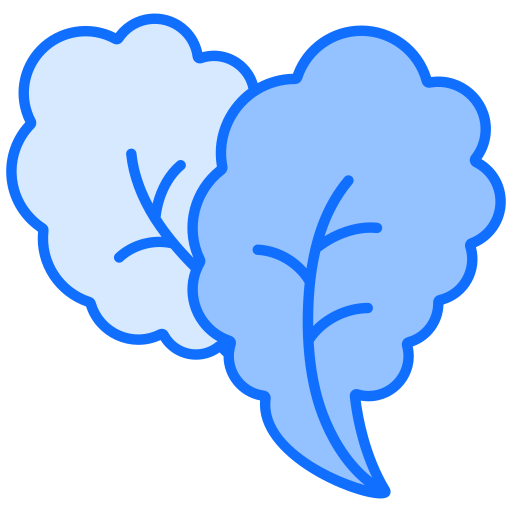 kopfsalat Generic Blue icon