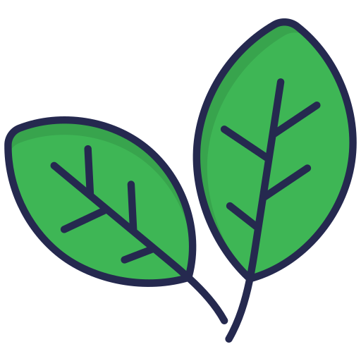 Basil Generic Outline Color icon