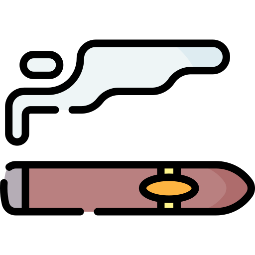 Cigar Special Lineal color icon