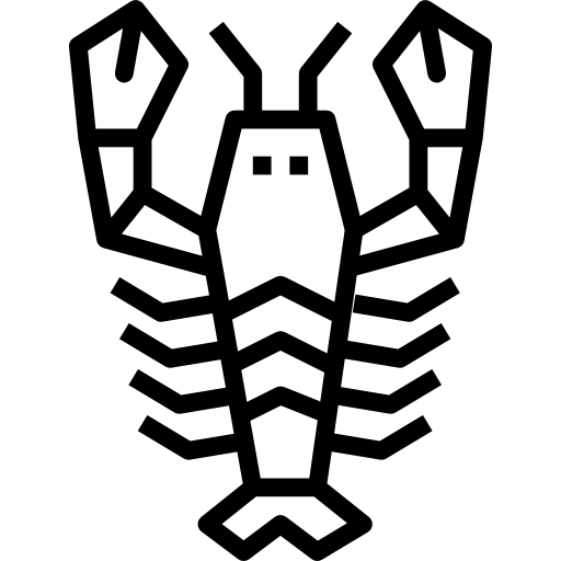 hummer turkkub Lineal icon