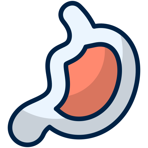 Stomach Generic Outline Color icon