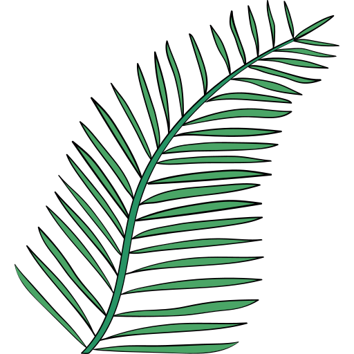 palm Generic Outline Color icoon