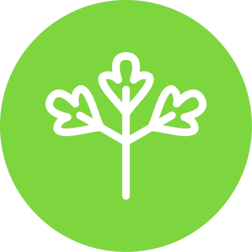 cilantro Generic Flat icono